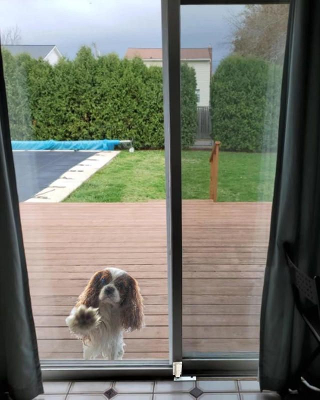 Sliding Door Security Lock - Sliding Patio Door Lock for Glass Doors, Child Safe gallery
