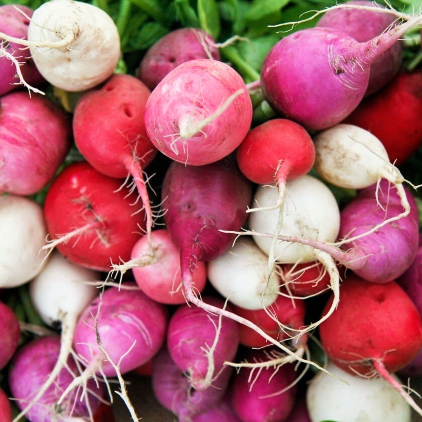Easter Egg Mix Radish Seeds | Rainbow Radishes USA Garden Vegetable Seed 2024 gallery