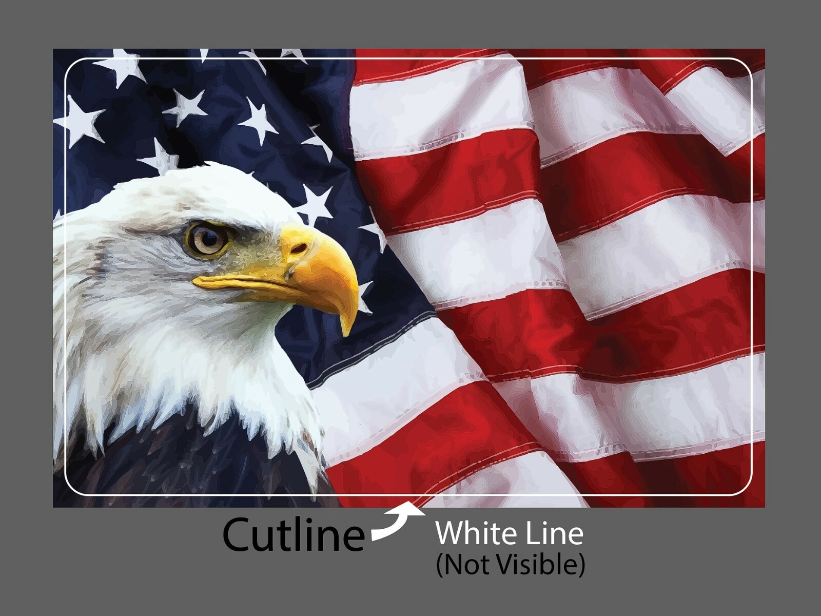 Bald Eagle Sticker America Waterproof - Buy Any 4 For $1.75 Each Storewide! gallery