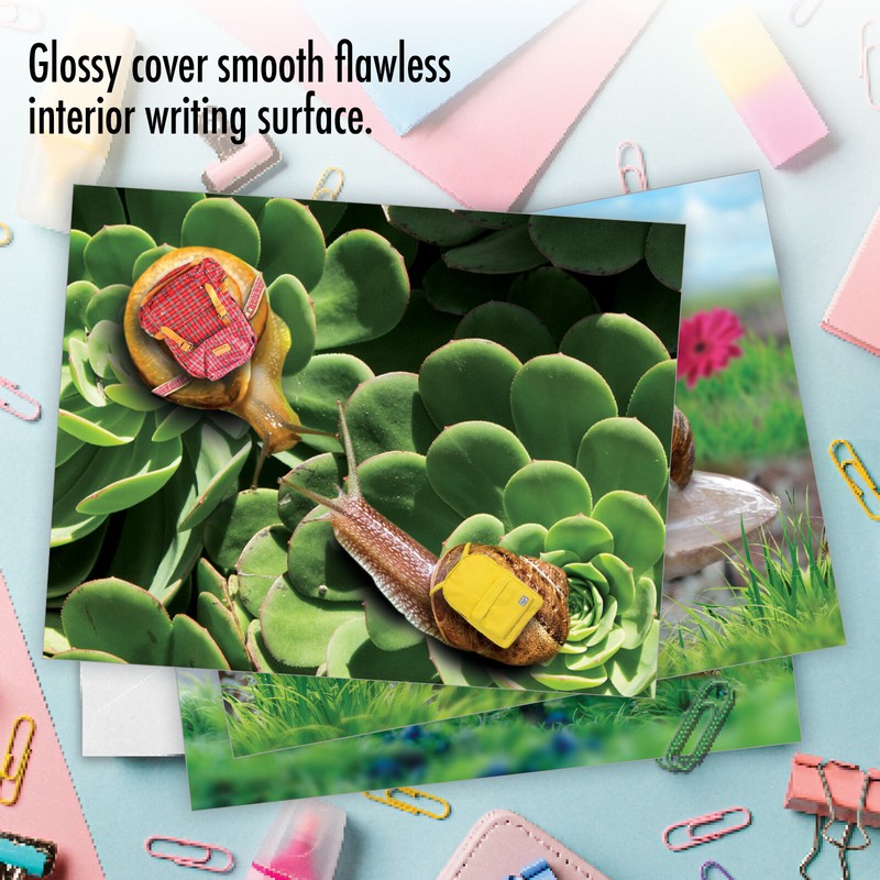 10 Assorted All Occasion Blank Note Cards - A SNAIL'S PACE M2349OCB gallery