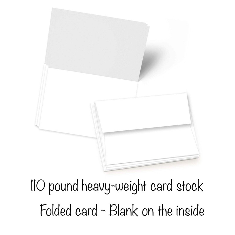 12 All Occasion Note Card Assortment Blank with Envelopes - Cute Bird ( 2 of ea gallery