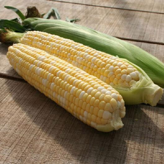 Peaches & Cream Corn Seeds | Non-GMO | Vegetable Seeds gallery
