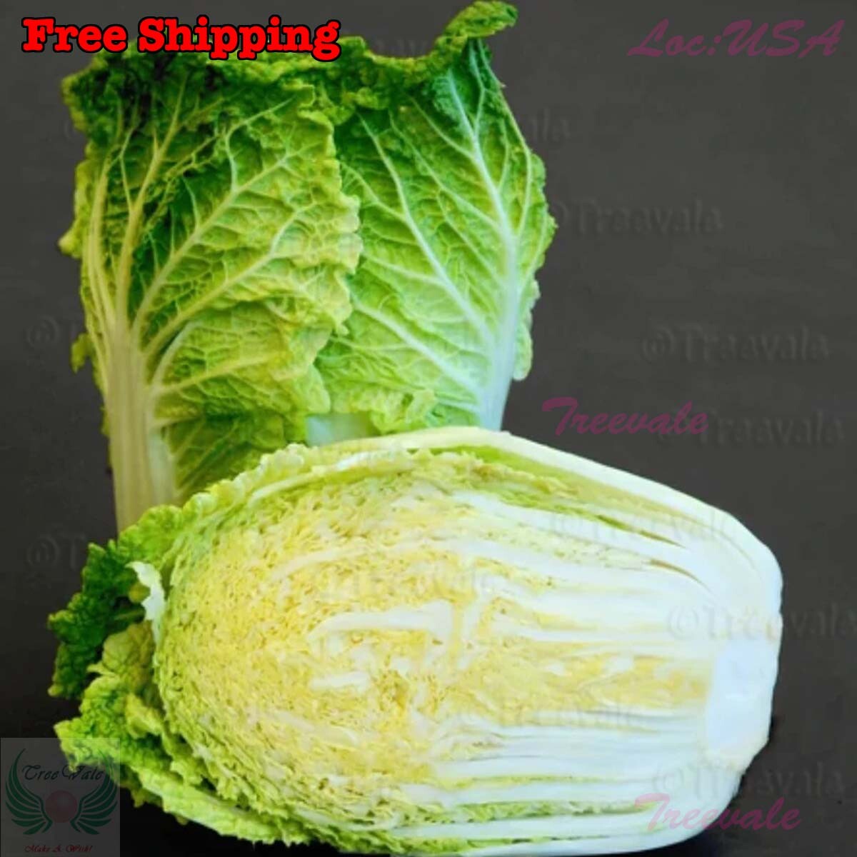 Napa cabbage, Kimchi cabbage, Chinese Cabbage, Dàbáicài seeds | Non-GMO, Organic gallery