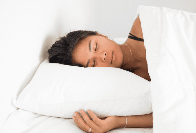 Pillowtex White Duck Down Pillow - Customer Return Clearance gallery