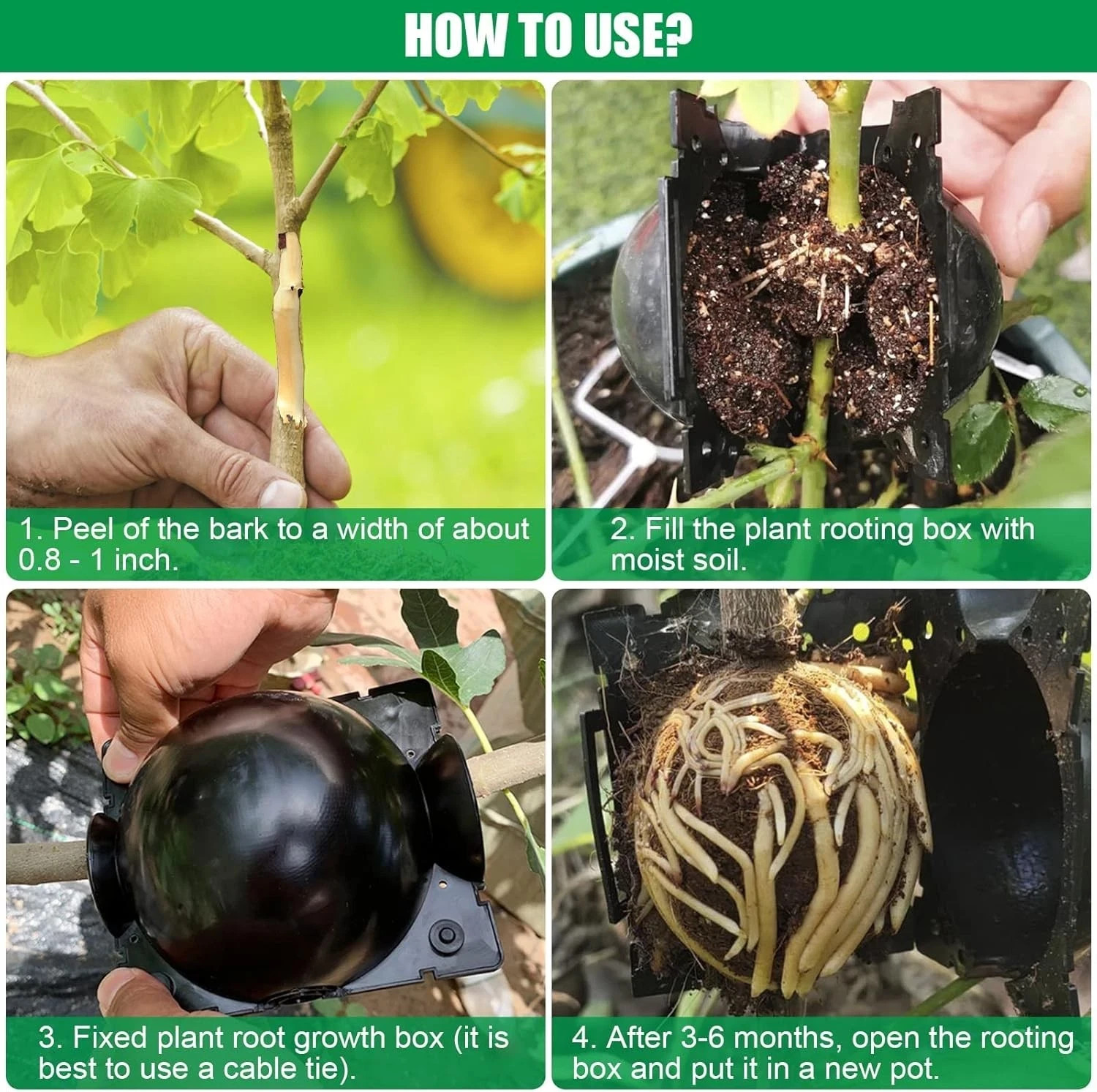 20x Plant Rooting High Pressure Propagation Ball Root Grow S 5 cm Box Garden gallery