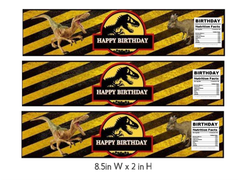 Dinosaur Theme Birthday Water Bottle Labels, Happy Birthday Design, 8.5x2 inches gallery