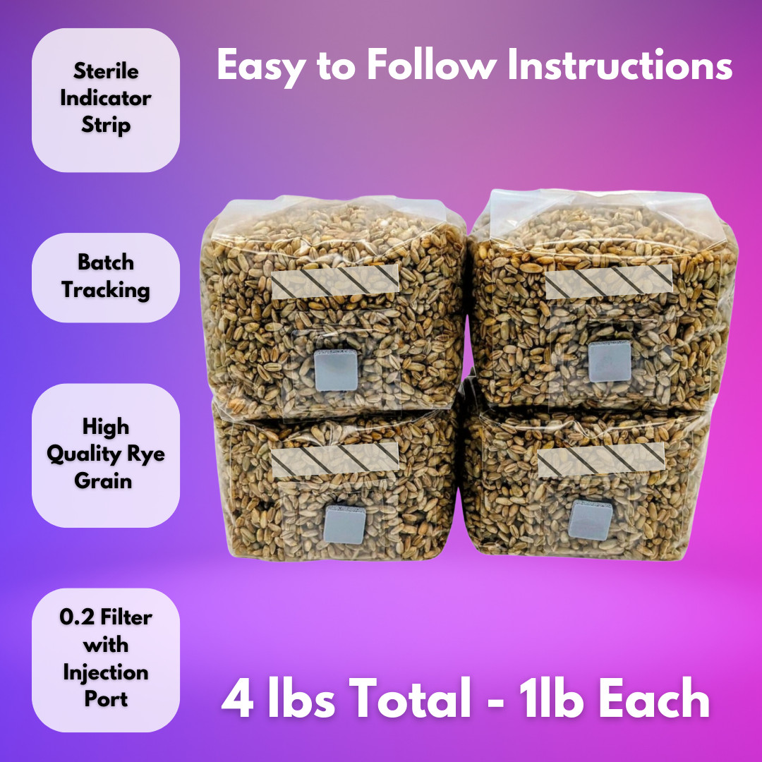4 - 1lb Grain Spawn bags Rye Berries w/ Injection Ports Mushroom Growing How To gallery