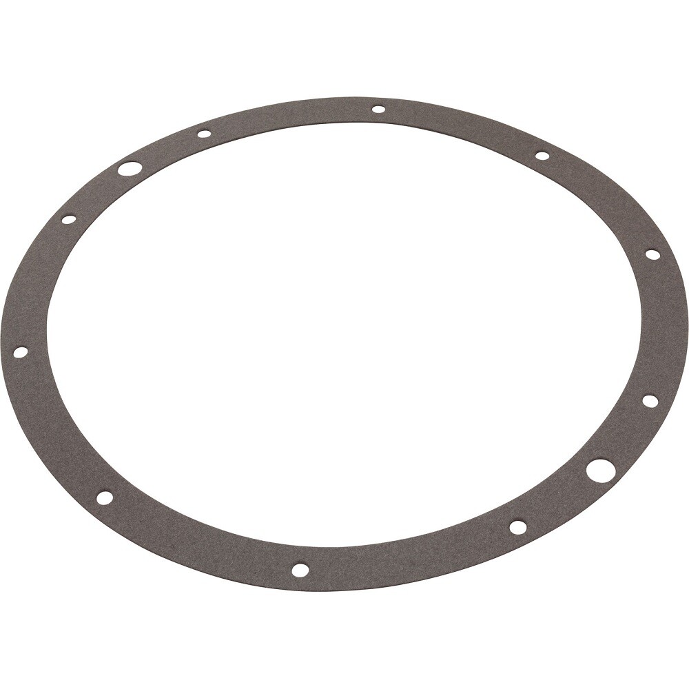Puri Tech Gasket Underwater Vinyl Light Niche Replacement for Hayward SPX0506D gallery