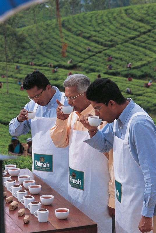 Dilmah Premium Quality Ceylon Tea 50 Bags gallery