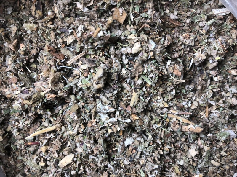 Osha Root Lobelia Mullein Coltsfoot Catnip Raspberry Leaf Spearmint No.23 Blend gallery