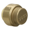 5 Pcs XFITTING Push Fit Cap 1/2 inch, 1/2", Push to Connect End Cap Plug, Brass gallery