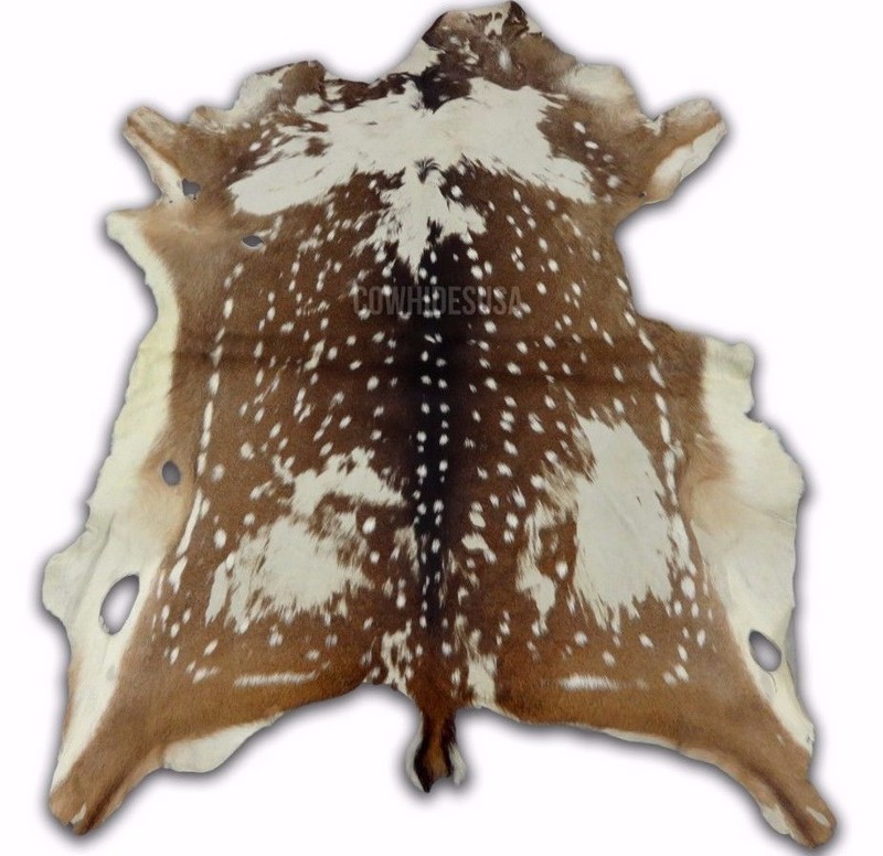 Axis Deer Skin Second Grade Axis Deer Hide Size: 38"X30" Chital deer hide gallery