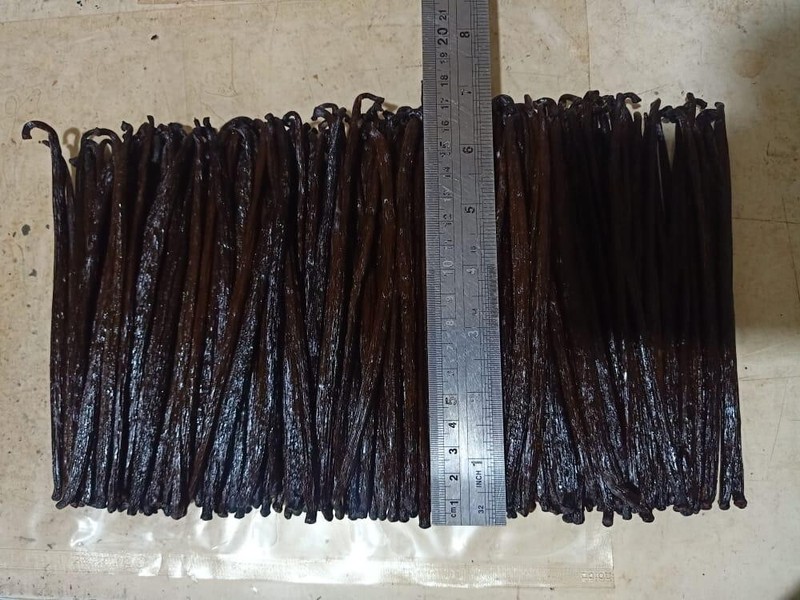 Planifolia vanilla Beans Grade A 16-18 cm gallery