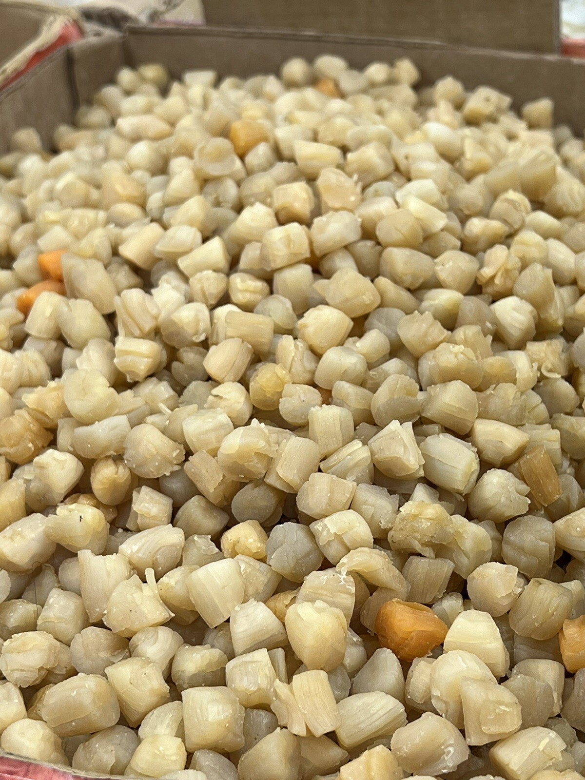 100% Premium Grade Dried Qingdao Scallop 青岛贝 16 oz - 1 Lb gallery