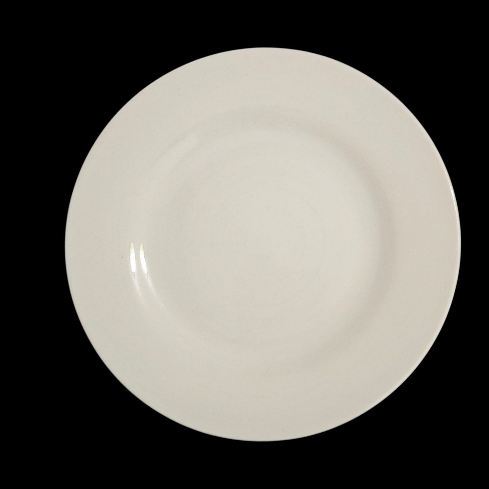 Gallery Tabletops White Stoneware Dinner Plates Set of 4 Minimalist
