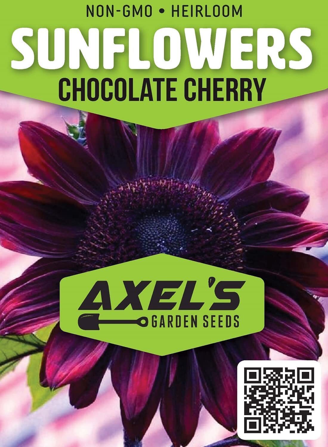 Sunflower Seeds Grow Purple Chocolate Cherry Sun Flowers Full Instructions gallery