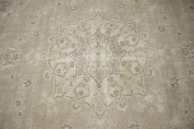 Muted Beige Antique Distressed Oriental Rug Classic Floral Carpet 9'5X12'5 ft gallery