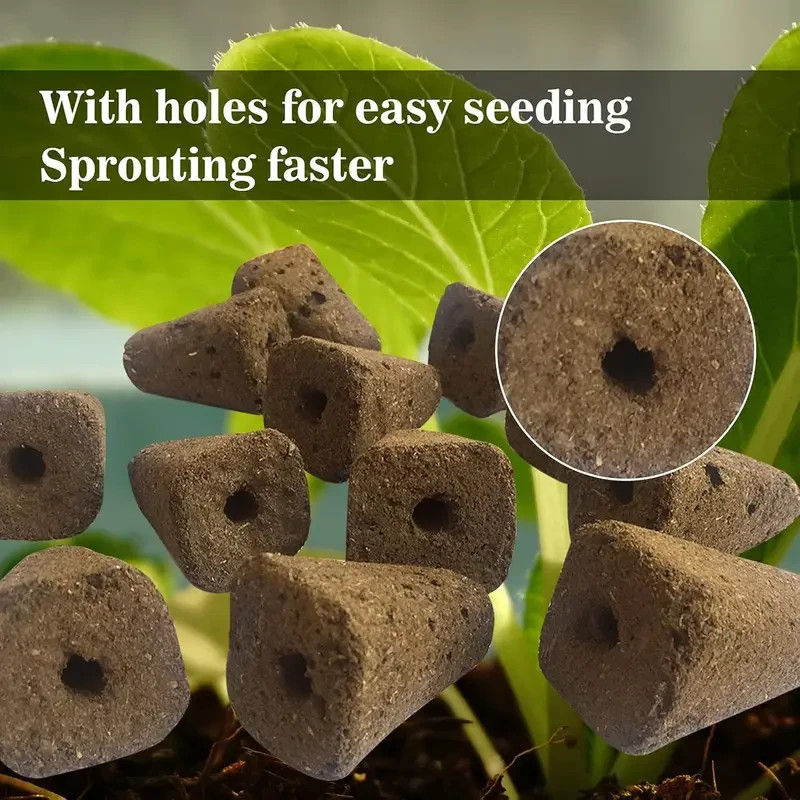 50pcs Starter Plug for Seeds or Cuttings, Great for Soil or Hydroponics Growing gallery