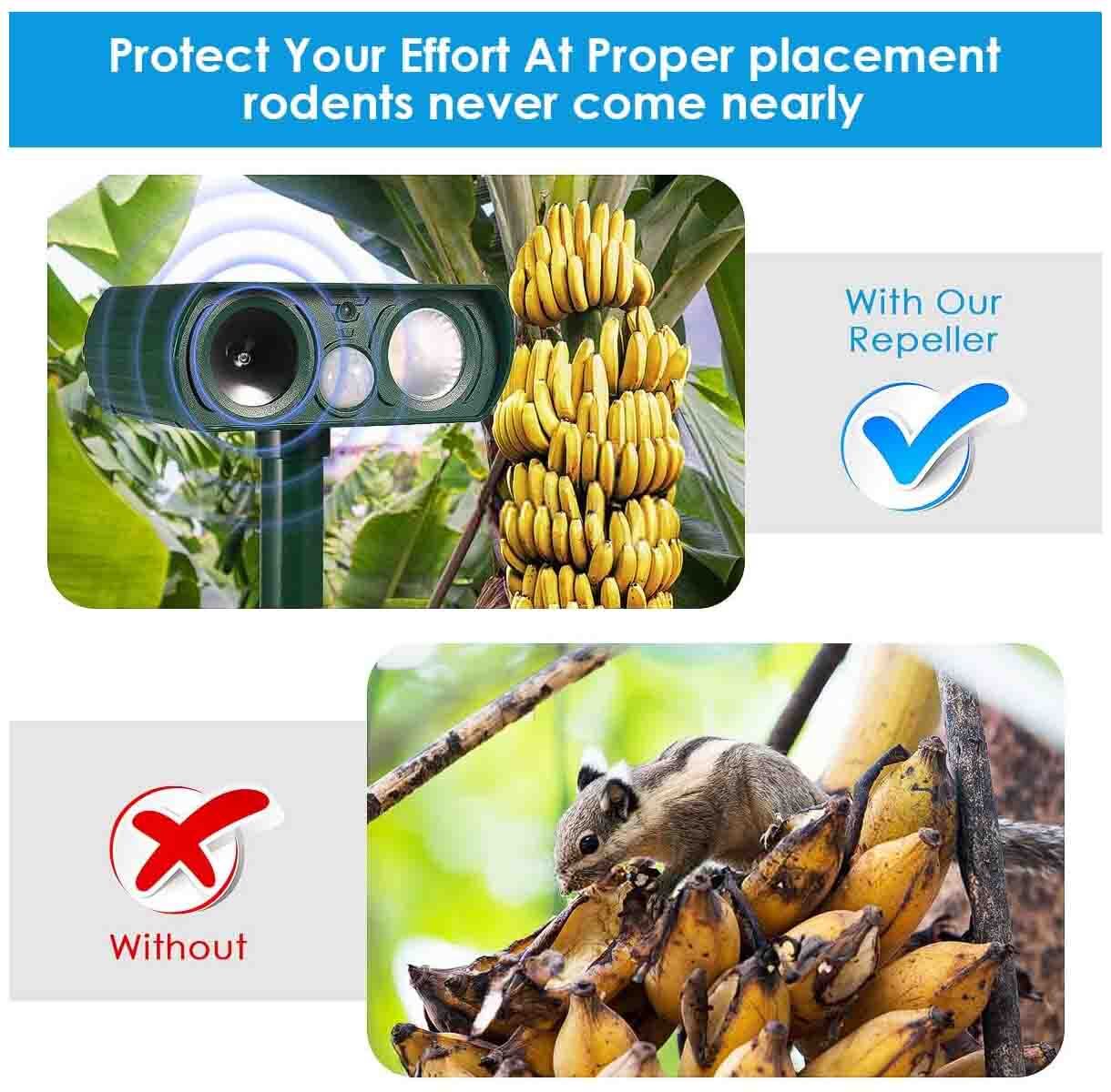 Solar Power Predator Deterrent LED Light, Scares & Deters Nocturnal Animals Away gallery