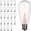 24-Pack Edison Replacement Light Bulbs,7W E17 Screw Base ST40 Replacement Clear gallery
