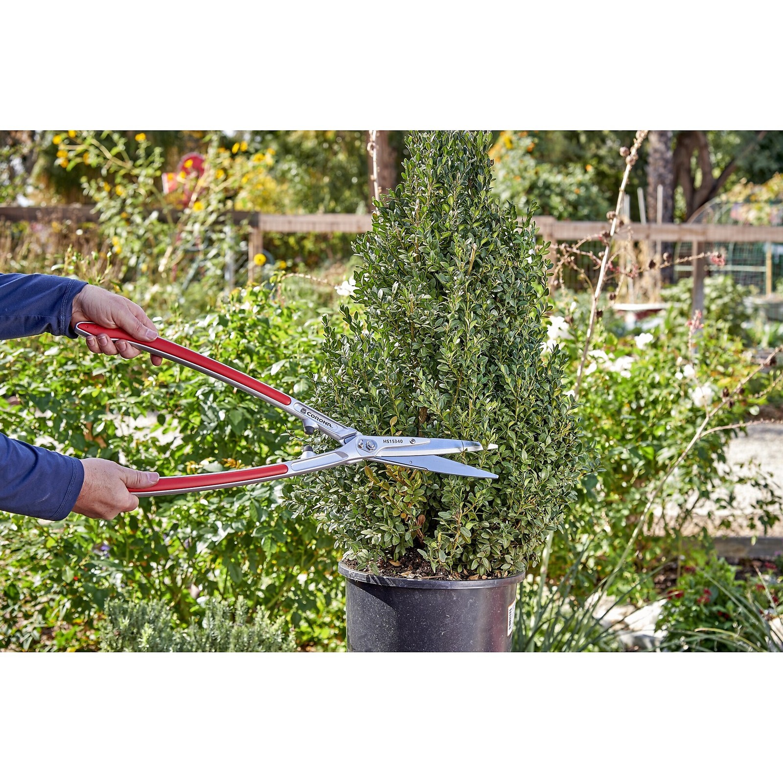 Corona PrecisionCUT Aluminum Hedge Shears 7-1/4 in. blades, 12-3/4 in. handles gallery