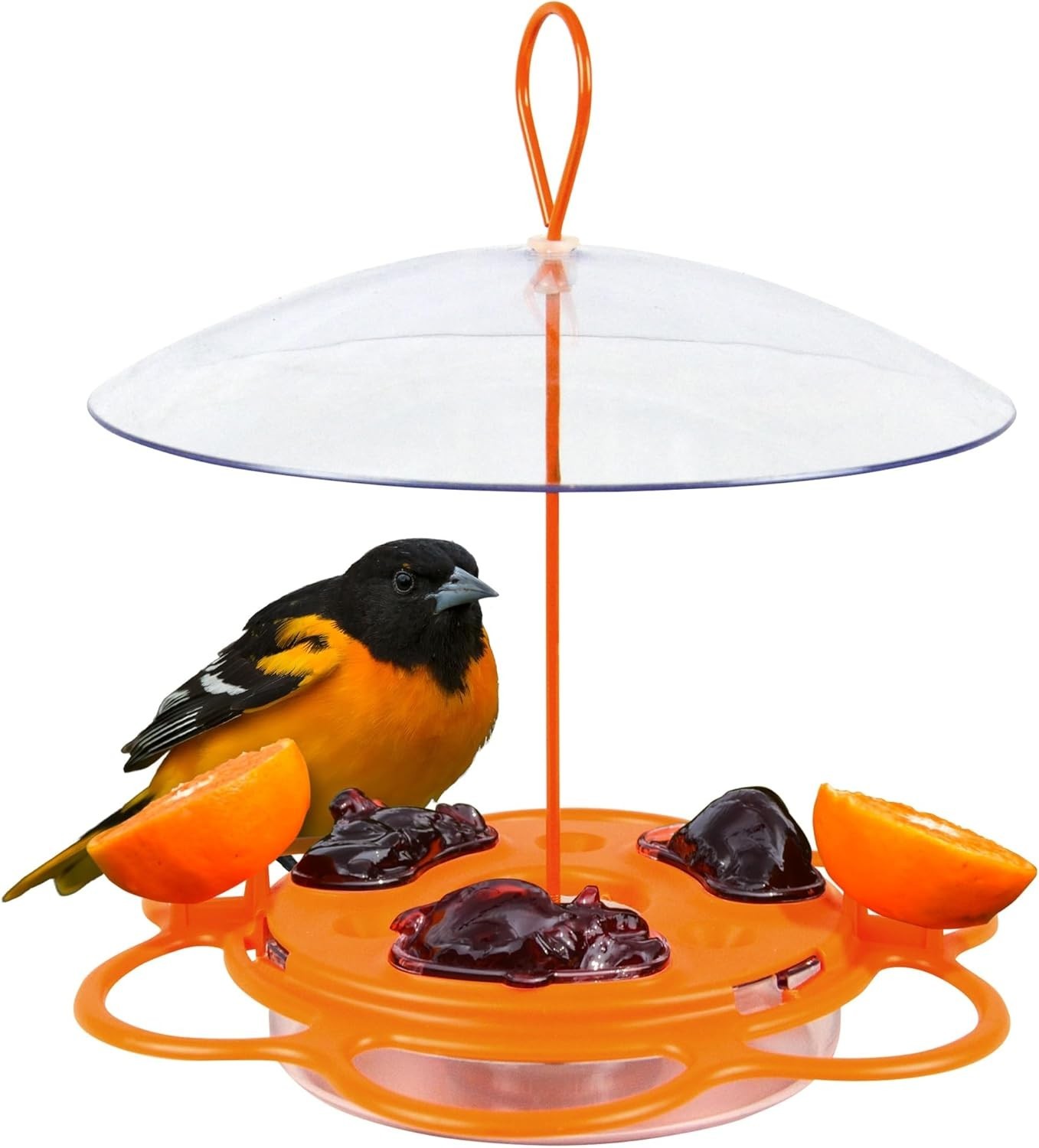 OFP1 All-in-One Oriole Buffet Bird Feeder, Orange gallery