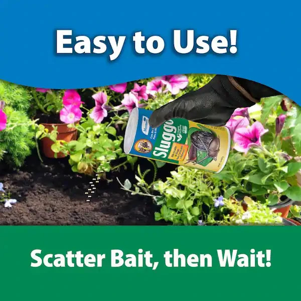 Monterey Sluggo Pet Safe Snail and Slug Killer (1 lb) - NEW Free Shipping gallery