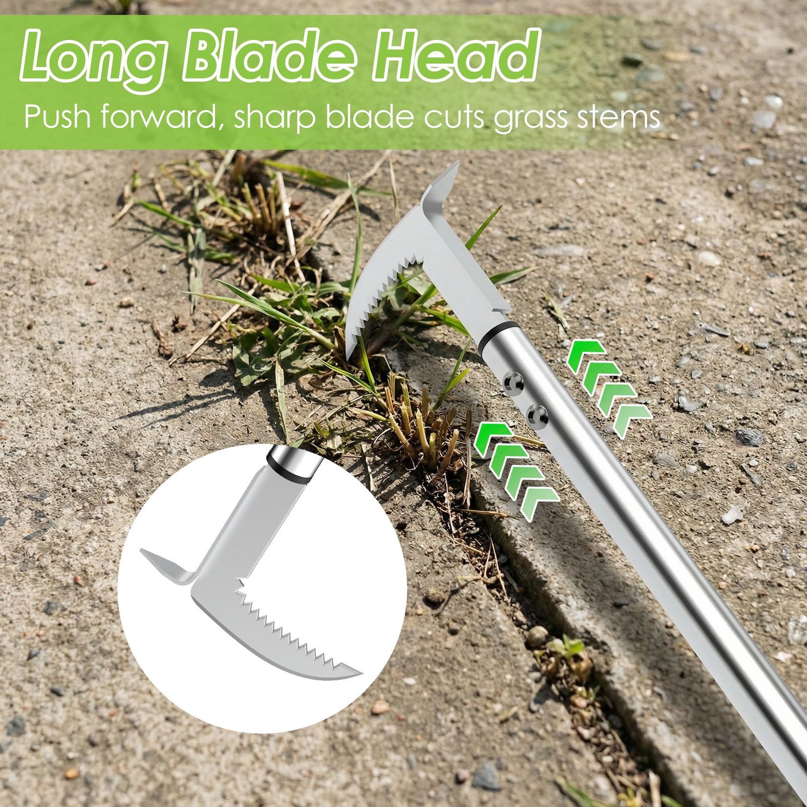 Adjustable Stainless Steel Crack Weeder Tool for Garden, Patio, Lawn Use gallery