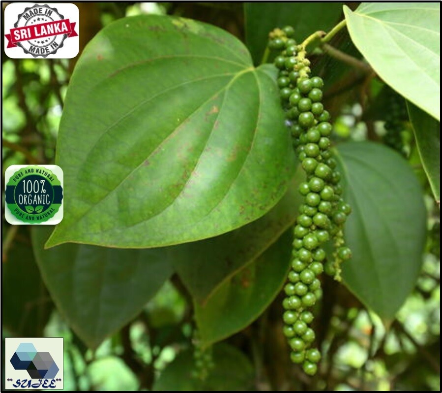 Ceylon Black Pepper Powder 50g 100g Pure Sri Lankan Ground Pepper gallery