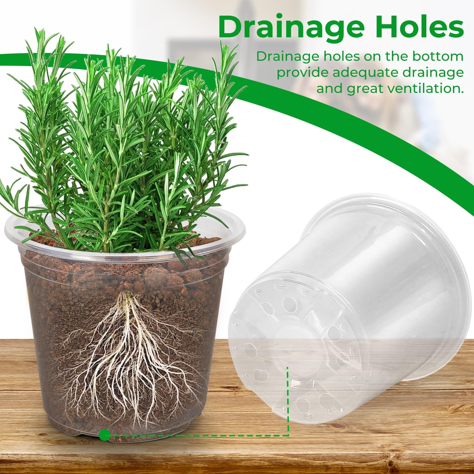 6/8/10/12 Inch Large Clear Nursery Pots with Drainage, 16 Pack Clear Plastic ... gallery