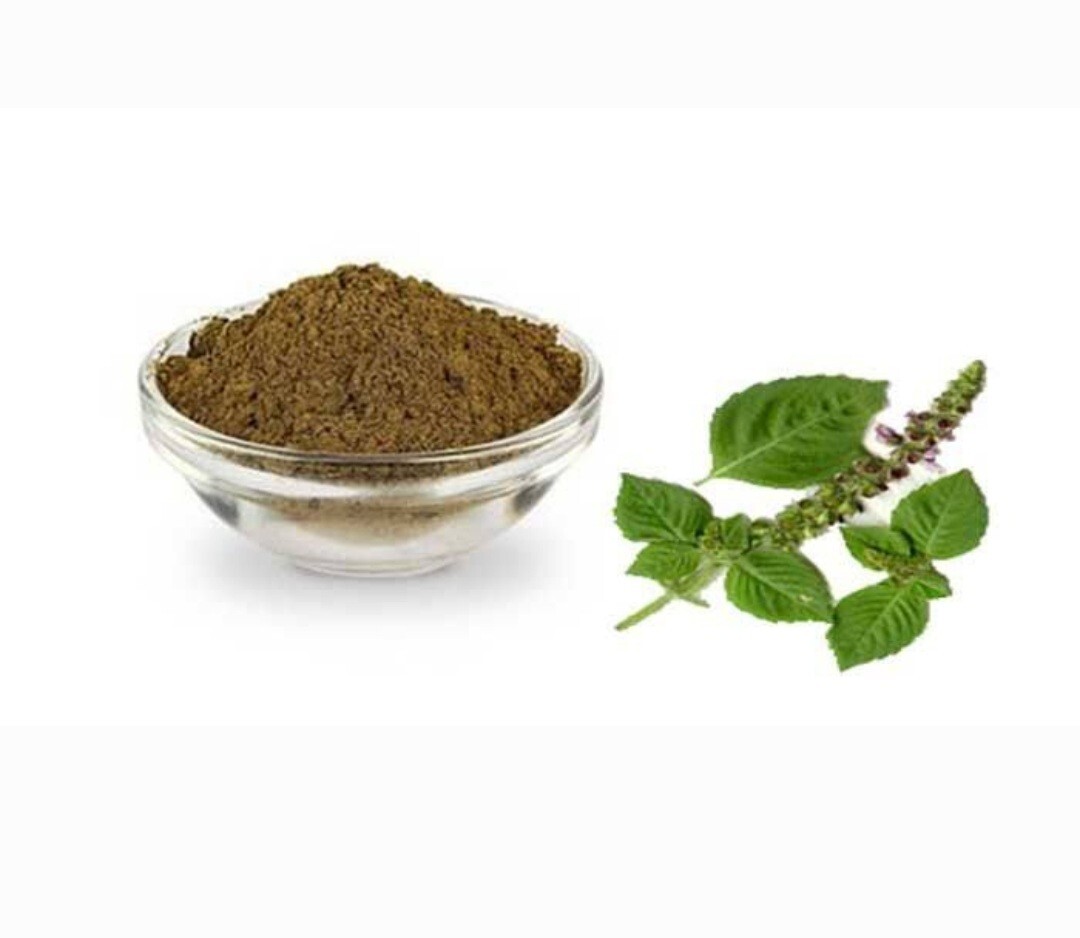 Tulsi Powder, Certified Organic Holy Basil,Ocimum Tenuiflorum Powder gallery