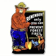 Decal – Smokey Bear, Prevent Forest Fires, Wildfires Retro Fire Sticker, 3”