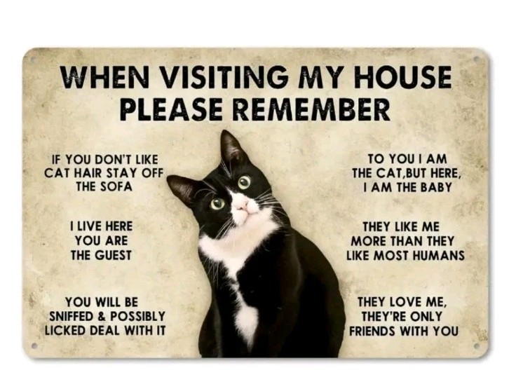 Funny Tuxedo Cat House Rules Tin Sign 8x12" Wall Decor Gift gallery