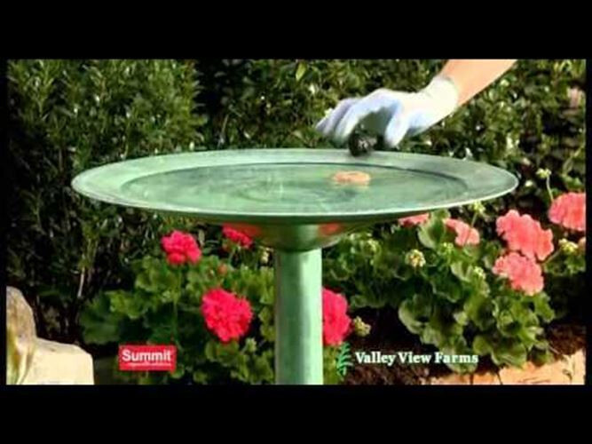60 Summit BTI Mosquito Control Dunks Bactimous ~ Kill Mosquitoes & Larvae gallery
