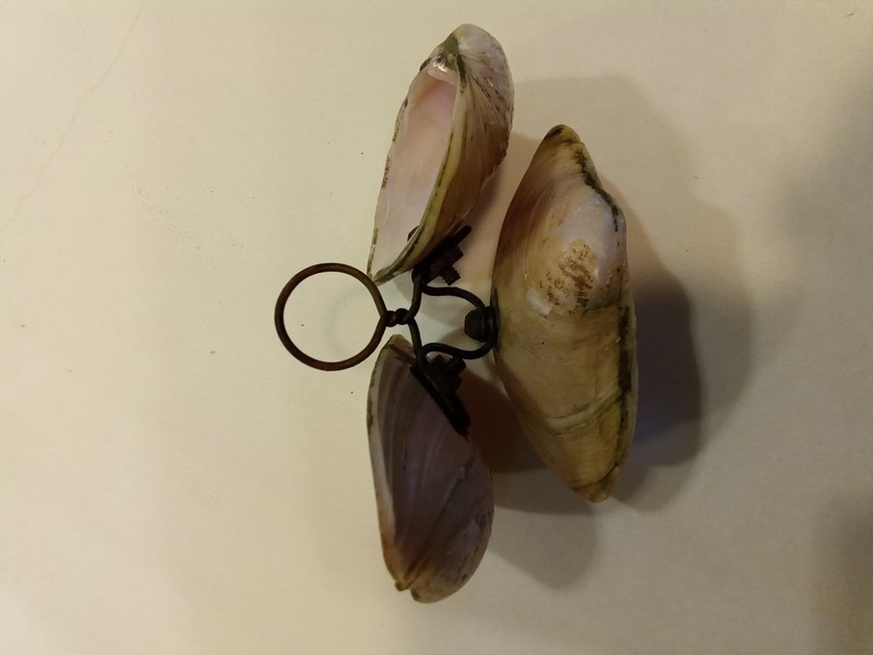 Abalone Shell Soap Dish gallery