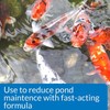 API Pond Simply Clear Water Clarifier 16 Ounce Freshwater Pond Treatment gallery