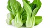 Bok Choi White Stem Seeds _ Heirlooms. 2.grams gallery