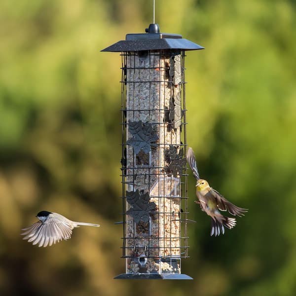 Squirrel-Be-Gone Squirrel Proof Bird Feeder - 2 Lb. Capacity New gallery