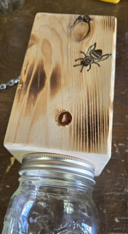 CARPENTER 'BORE' BEE TRAPS THAT WORK! gallery