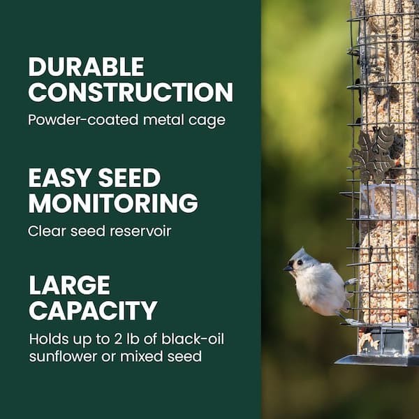 Squirrel-Be-Gone Squirrel Proof Bird Feeder - 2 Lb. Capacity New gallery
