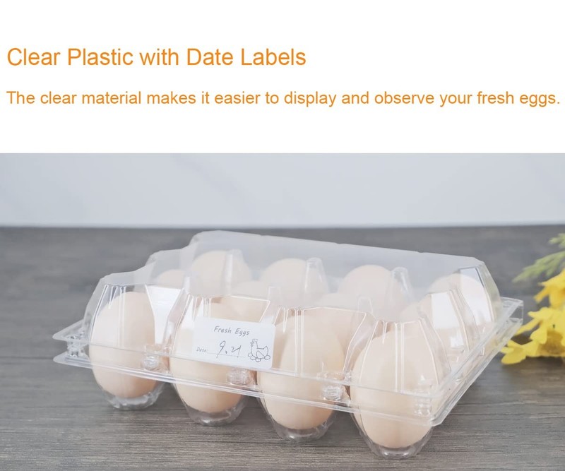 Egg Cartons 60 Packs Clear Plastic Blank Egg Cartons With Free Labels Holds Up T gallery