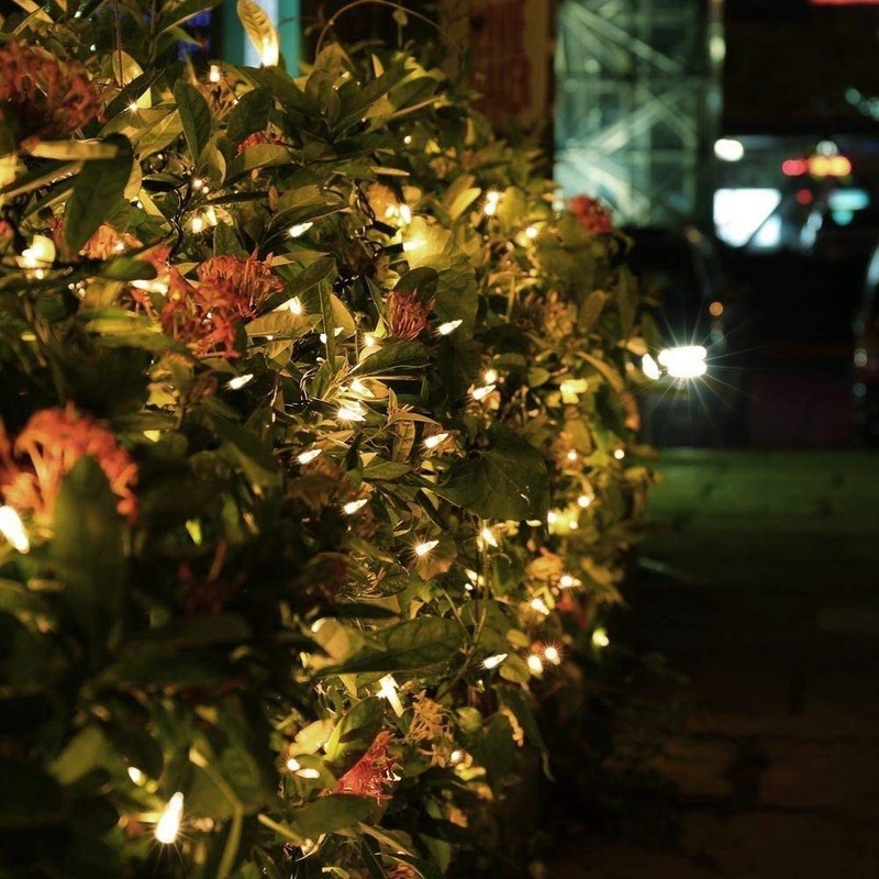 Outdoor String Lights Christmas Lights 50 LED Battery Operated String Lights ... gallery