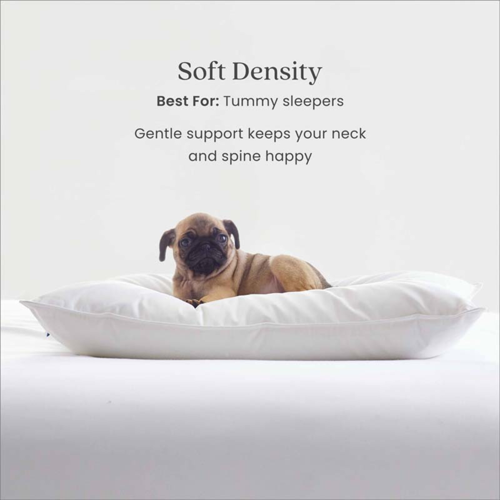 LoftAIRE Down Alternative Pillow - Soft, Standard... gallery