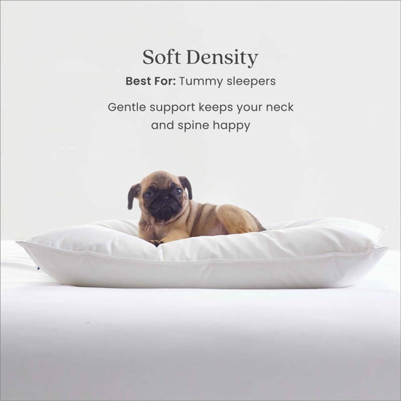 LoftAIRE Down Alternative Pillow - Soft, Standard... gallery