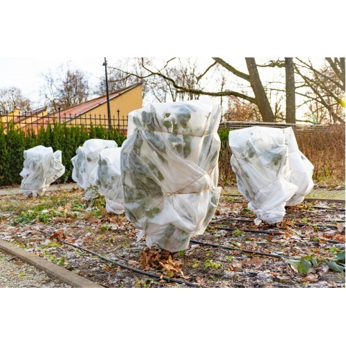 Farm Plastic Supply - 2oz Frost/Winter Protection Blanket gallery