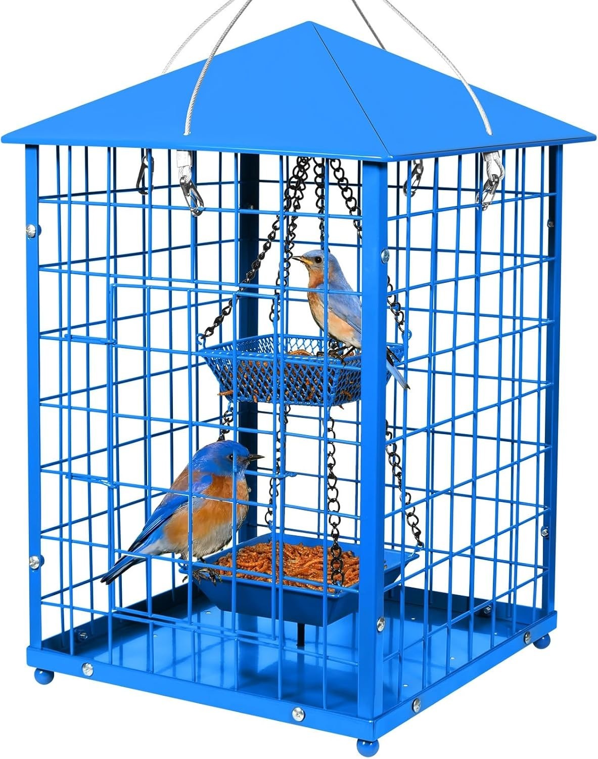 Squirrel Proof Bluebird Feeder 7lb Metal Caged Mealworm 2 Cups Blue gallery