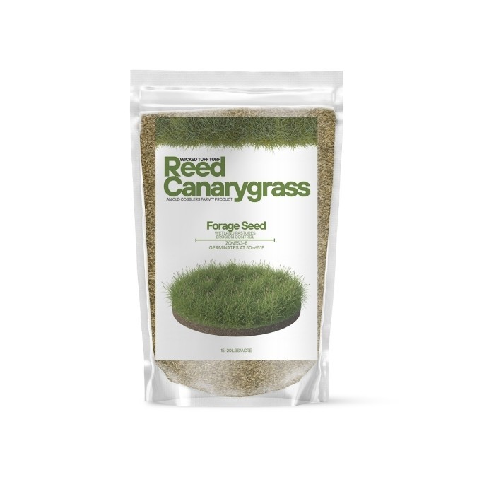Old Cobblers Farm™ Wicked Tuff Turf Reed Canarygrass – Wetland & Erosion Control gallery