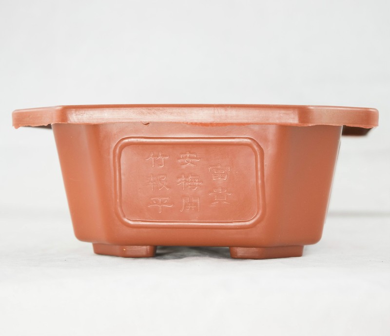 2 Rectangular Plastic Bonsai Training Pot, Succulent Planter 9.25"x 6.5"x 2.75" gallery