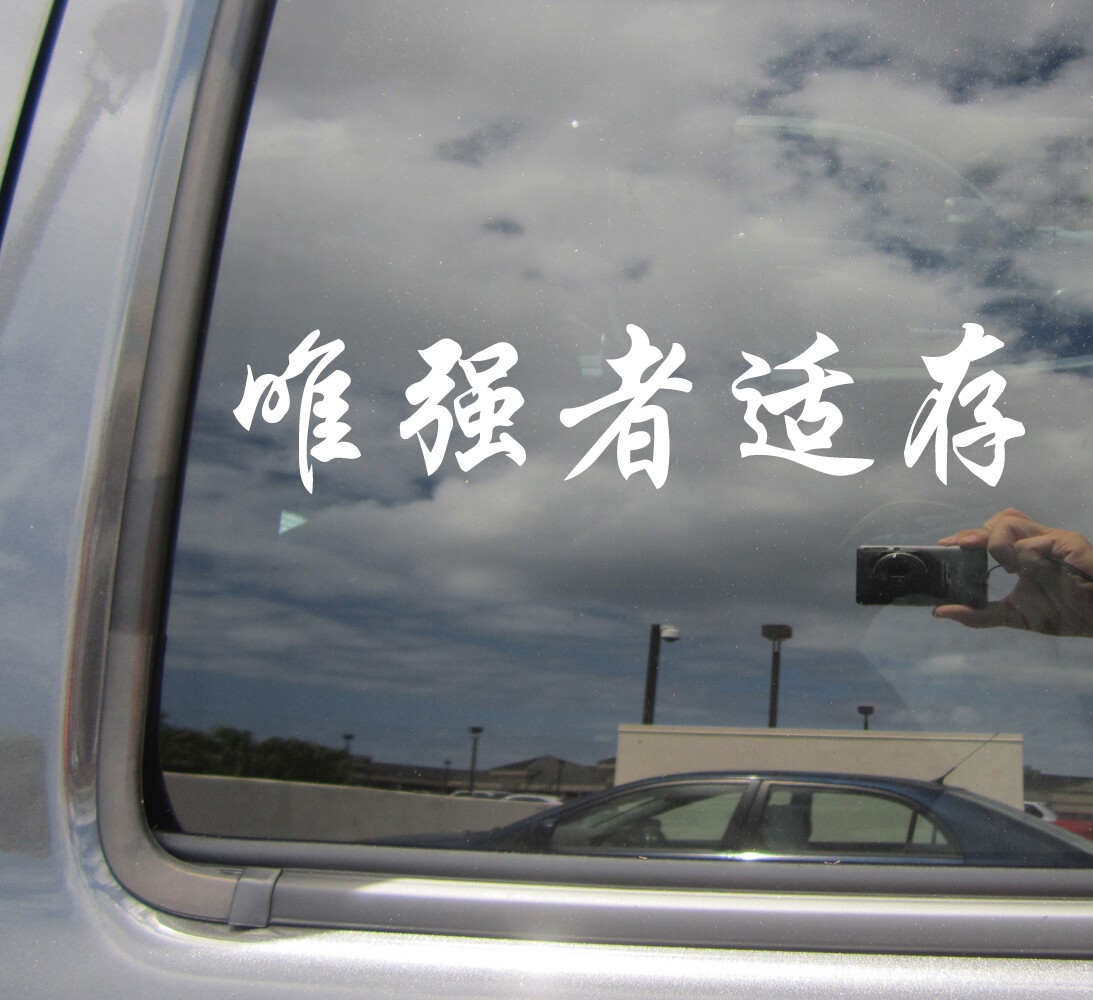 Kanji - Only The Strong Survive - Car Auto Window Vinyl Decal Sticker 10040 gallery