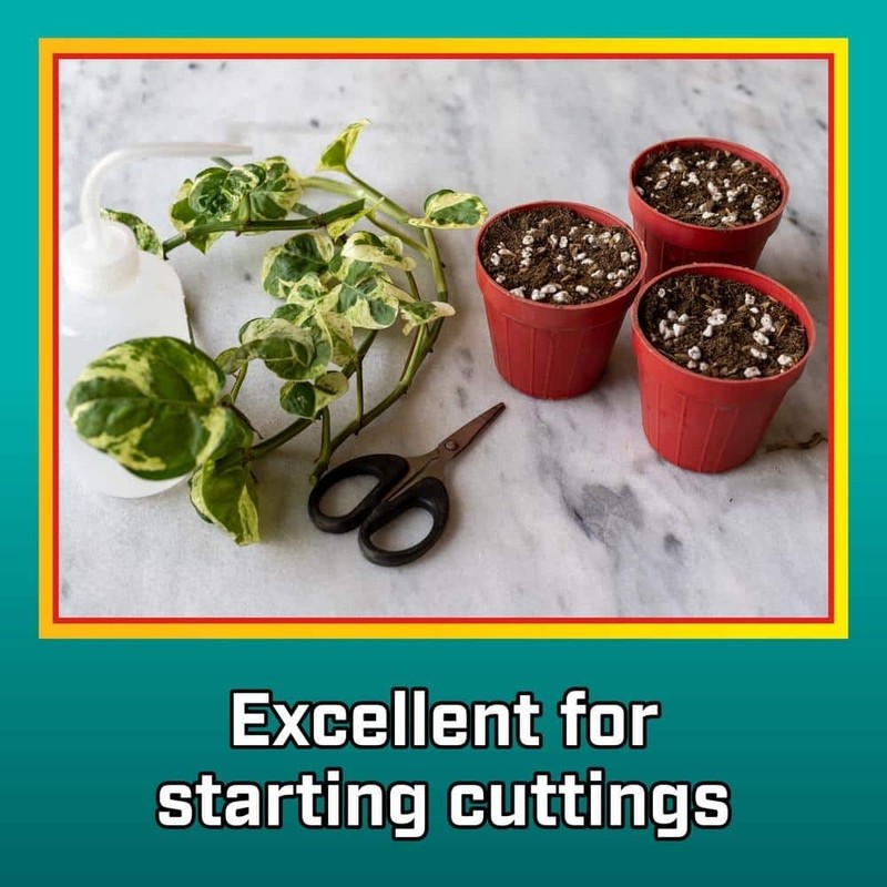 8 Qt. Organic Perlite Soil Amendment gallery